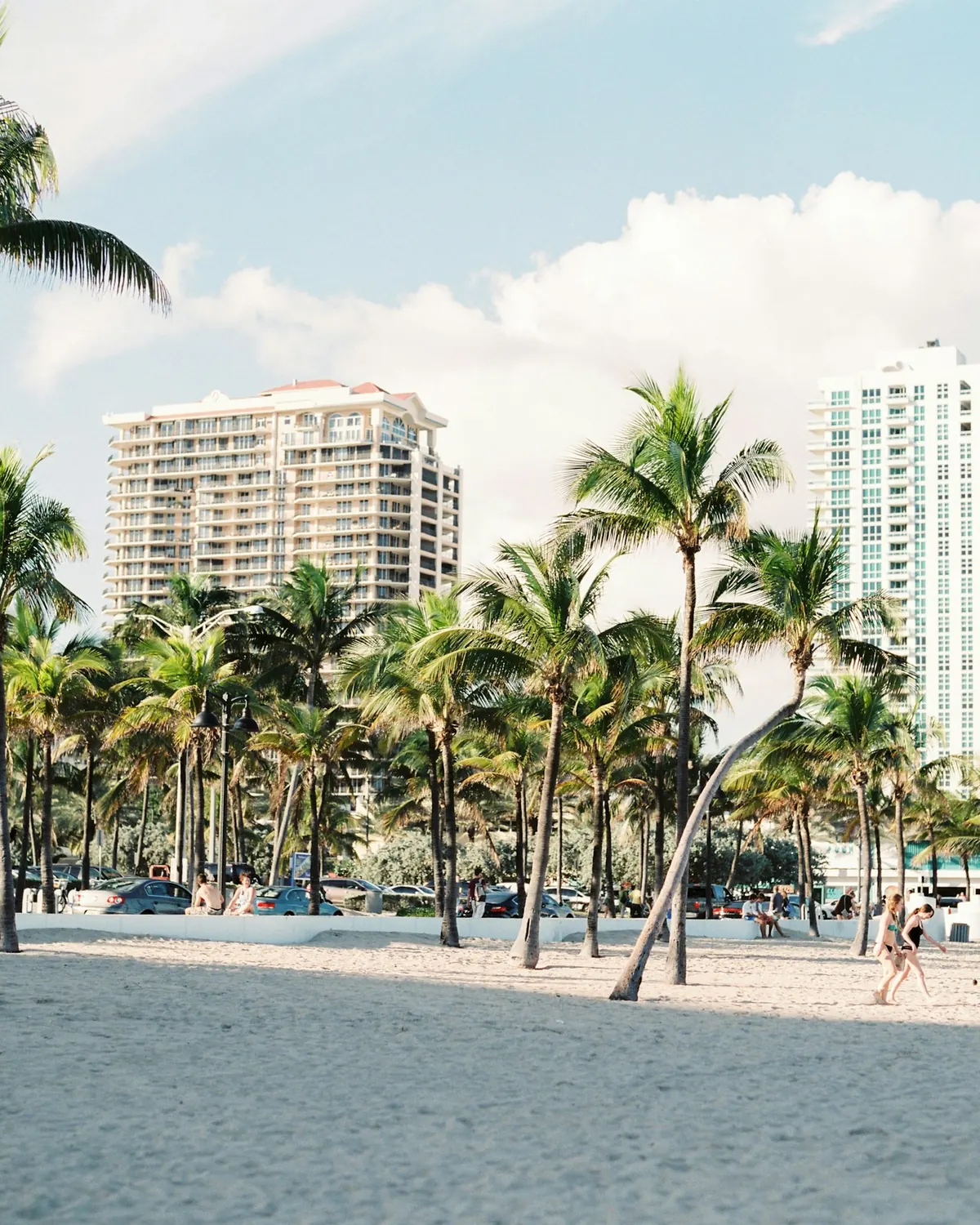 Palm-lined beach with high-rise apartments behind