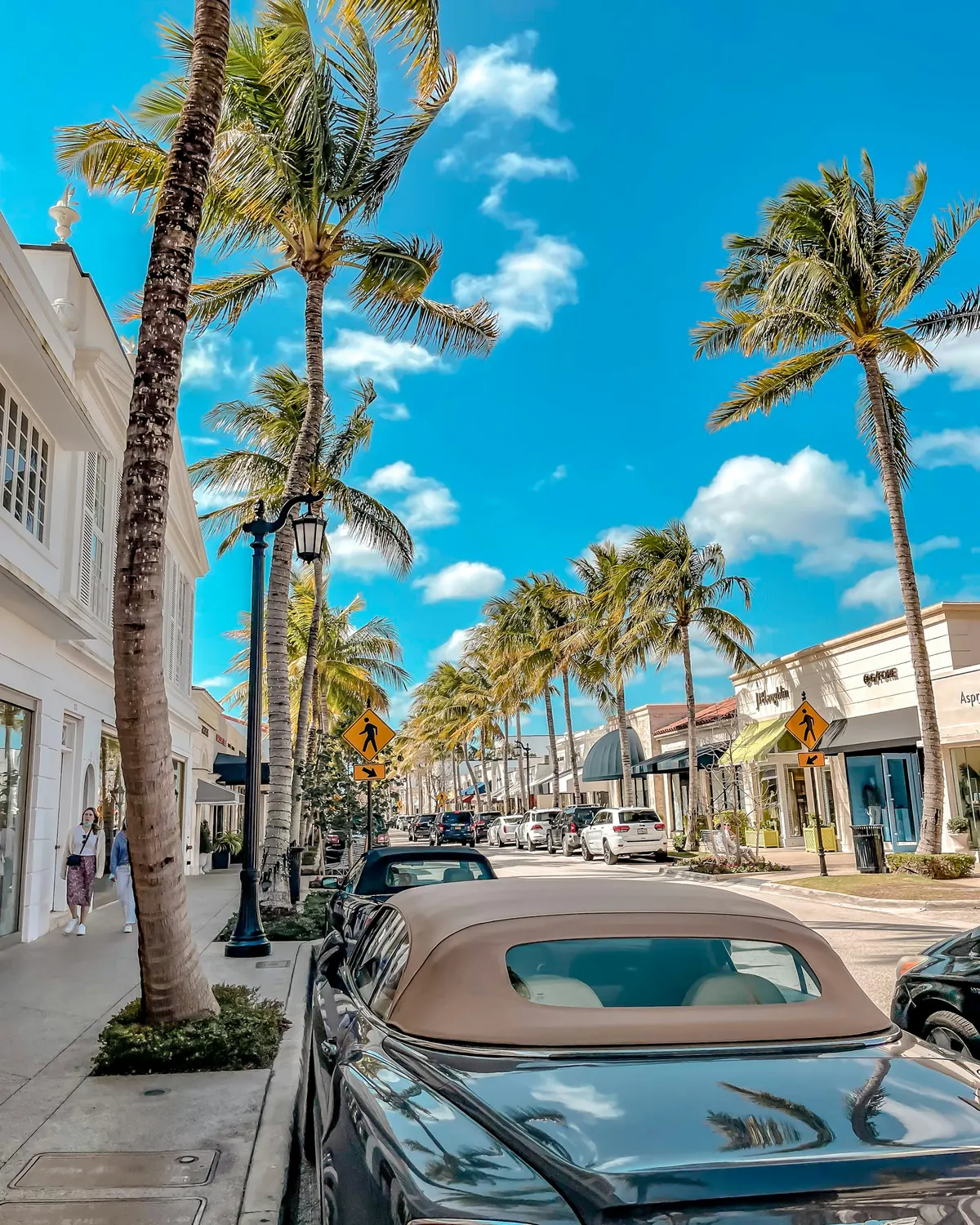 Palm Beach street lined with palms and a classic car