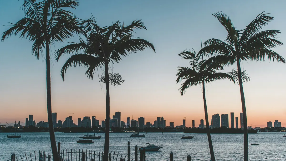 Palm trees silhouetted against a Miami sunset